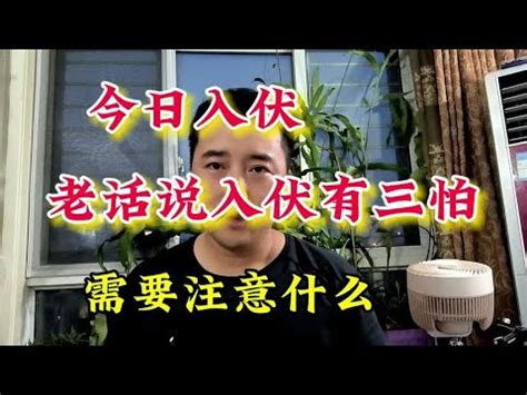 怕6|今日入伏，民间说入伏有“6怕”，分别指什么？老话有道理吗？